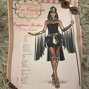 Egyptian Goddess Costume